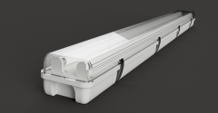 3D-Bild-4