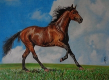 Braunes Pferd