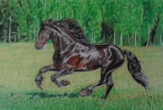 Schwarzes Pferd